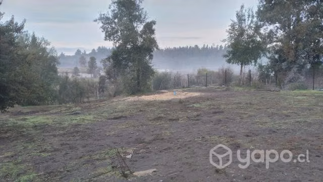 Terreno quillón - Imagen 6