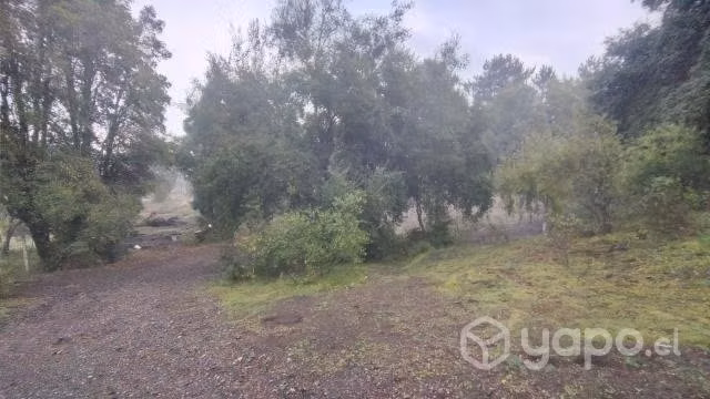 Terreno quillón - Imagen 7