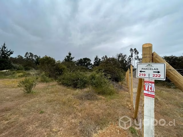 Parcela Condominio Santa Maria de Algarrobo 5000m2 - Imagen 6
