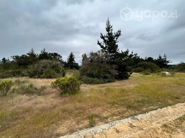 Parcela Condominio Santa Maria de Algarrobo 5000m2 - Imagen 7