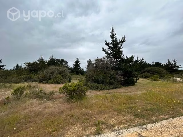 Parcela Condominio Santa Maria de Algarrobo 5000m2 - Imagen 3