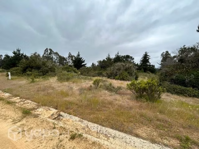 Parcela Condominio Santa Maria de Algarrobo 5000m2 - Imagen 8