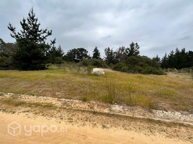 Parcela Condominio Santa Maria de Algarrobo 5000m2 - Imagen 4