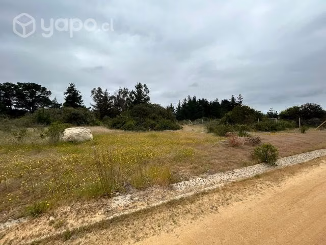 Parcela Condominio Santa Maria de Algarrobo 5000m2 - Imagen 5