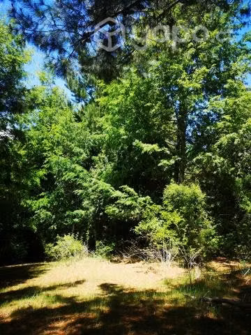 Venta de terreno - Imagen 2
