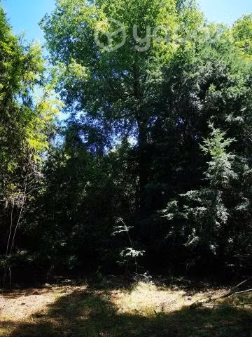 Venta de terreno - Imagen 5