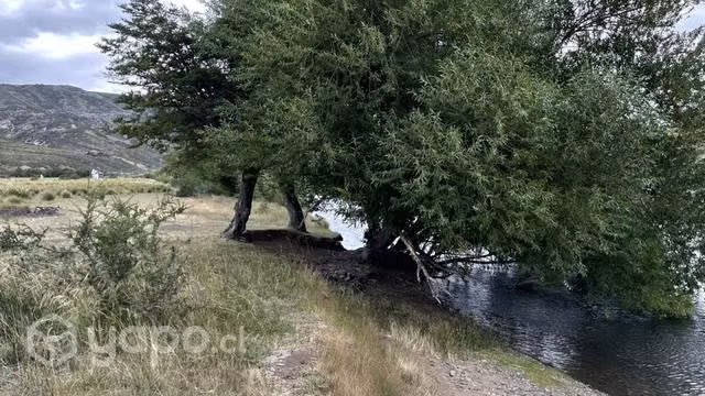 Linda Parcela a 1 km de Liucura camino Icalma - Imagen 12