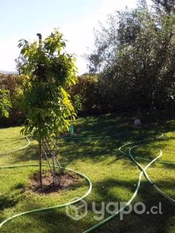 Vendo Parcela de agrado, 5.000 M2