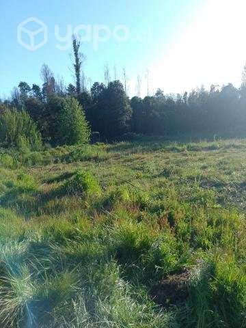 Terreno, Sector Rinco 2, Comuna Rafael - Imagen 3