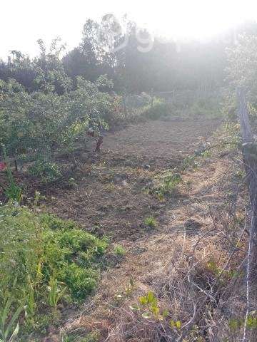 Terreno, Sector Rinco 2, Comuna Rafael - Imagen 2