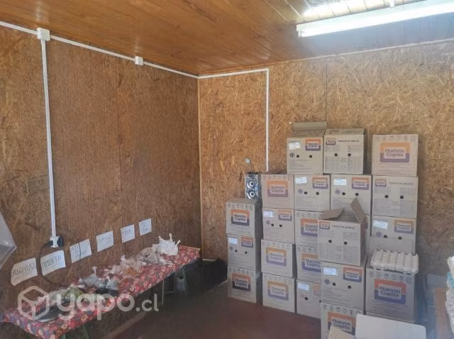Propiedad comercial puerto saavedra pleno centro