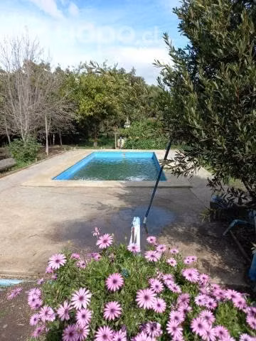 Parcela de Agrado en Quillota - Imagen 8