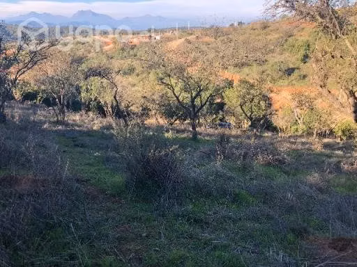 Parcela Cajón de Lebu Limache - Imagen 8
