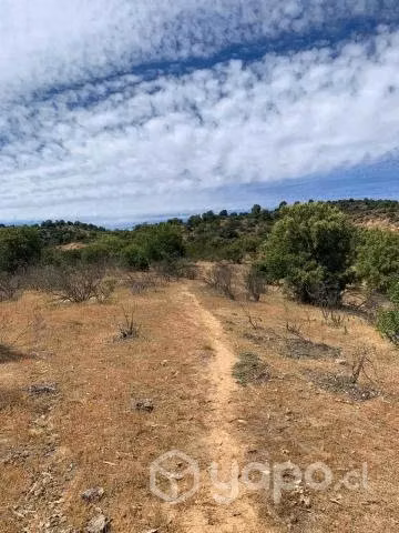 70 Hectareas de terreno en Las Cabras