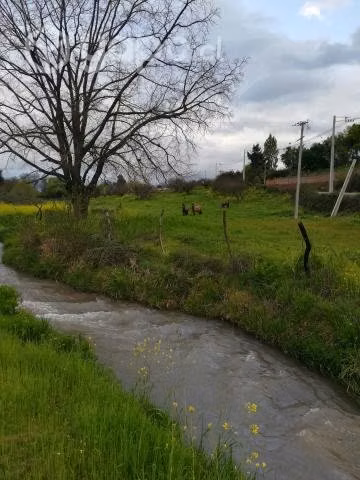 Campo LongavÍ sector San José