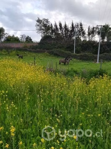 Campo LongavÍ sector San José