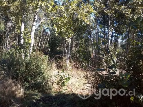 Parcela 1000m2 villarrica