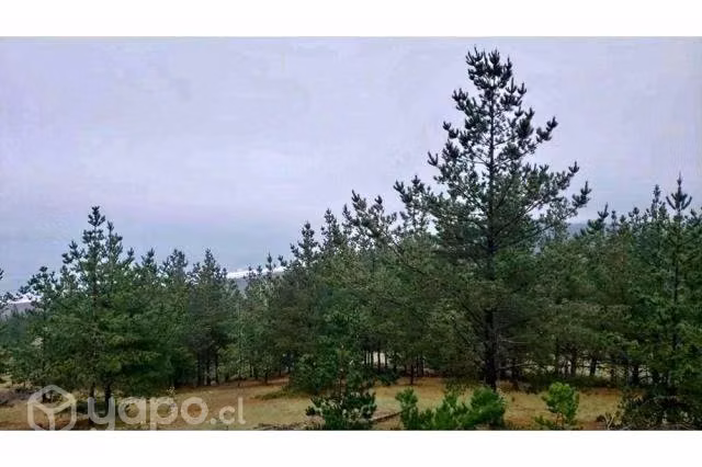 Vende Parcela con vista al mar /ALTO BOYERUCA