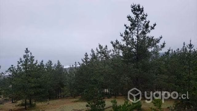 Vende Parcela con vista al mar /ALTO BOYERUCA - Imagen 10