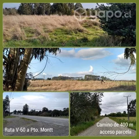 Parcela agrado de 5.000 m2