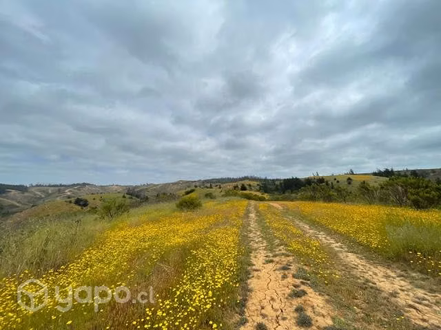 Gran Terreno en Paredones