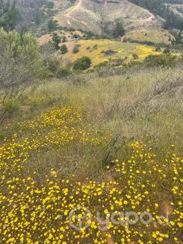 Gran Terreno en Paredones