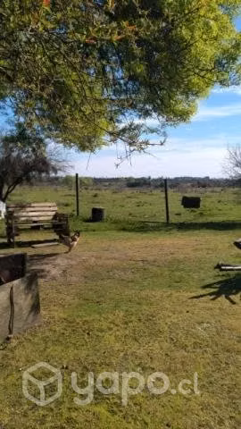 Terreno en Parral