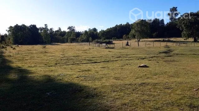 Terreno Purranque Los Riscos