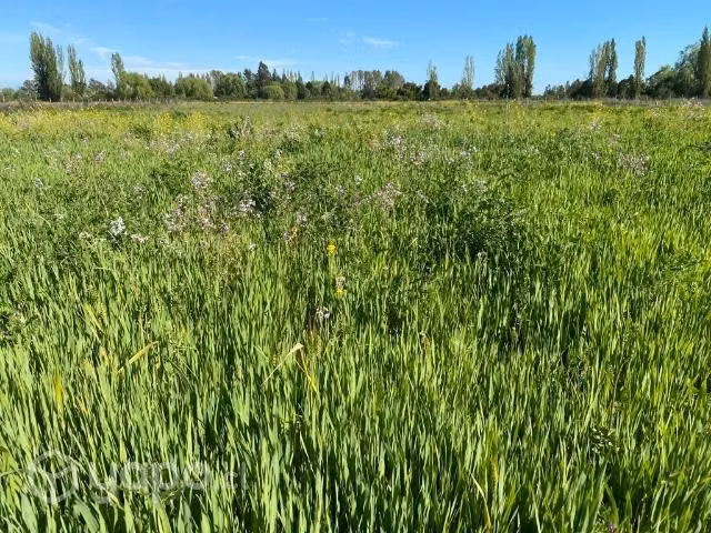 Terreno en venta sector Rinconada de Cato km 8