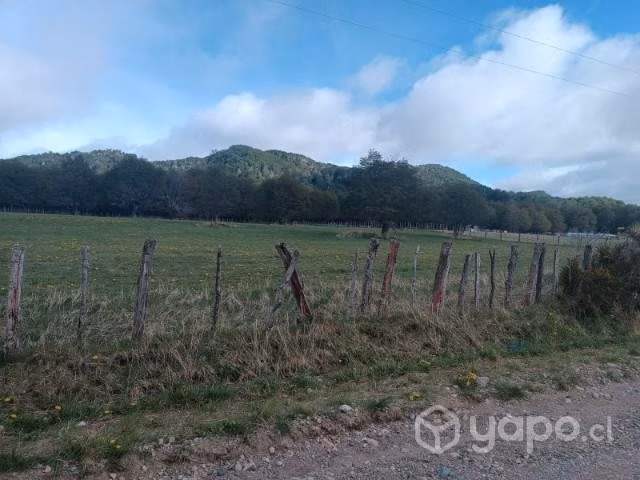 Venta