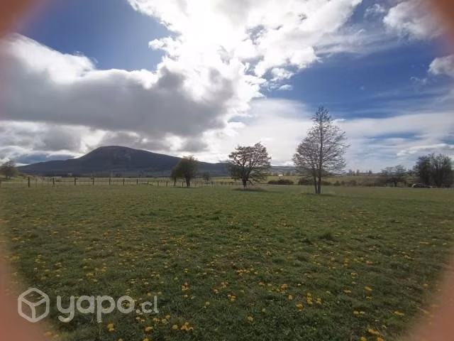 Venta