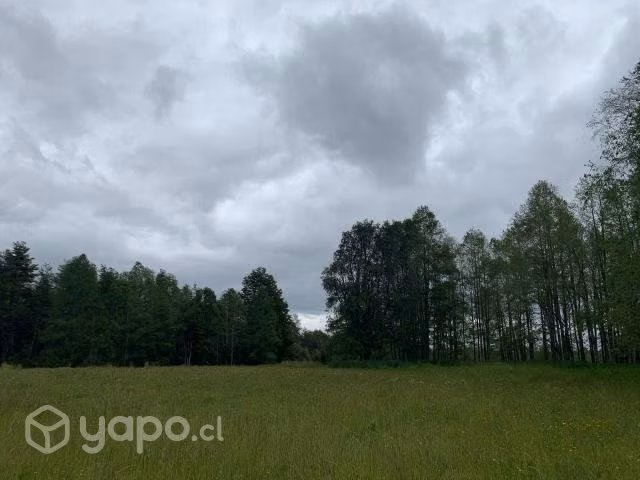 Parcelas 5000m2