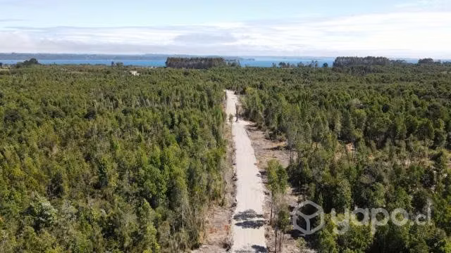 EN VENTA PARCELAS DE 5000 Mts² - Imagen 2