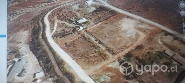 Parcela 5000m2 Fundo Loreto Sector Los Olivos - Imagen 2