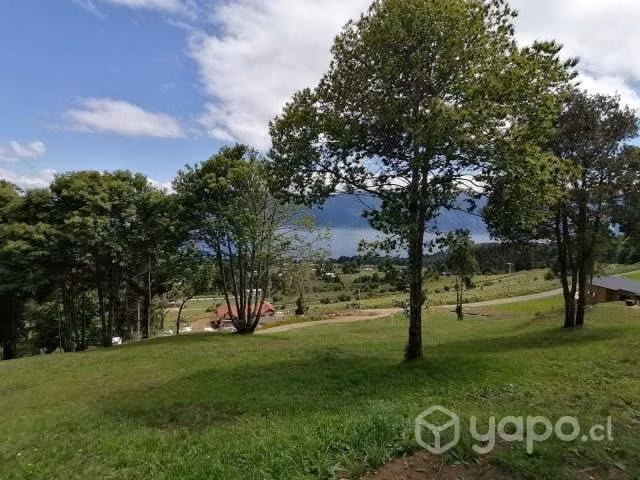 Parcela con Vista al Lago Riñihue - Imagen 17