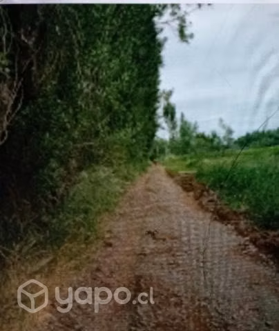 Parcela - Imagen 3