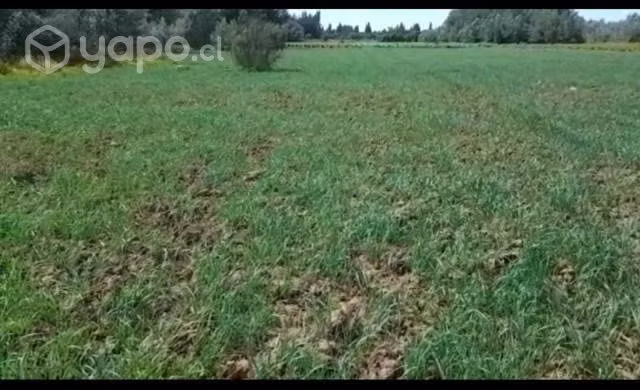 Parcela