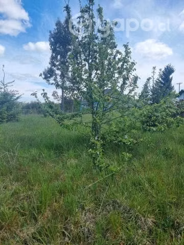 Parcela 5000 m²