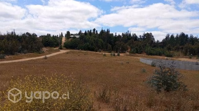 Terreno Placilla-Curauma