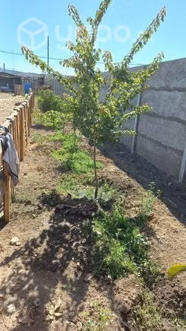 Parcela 5000 metros con casa de 400 metros