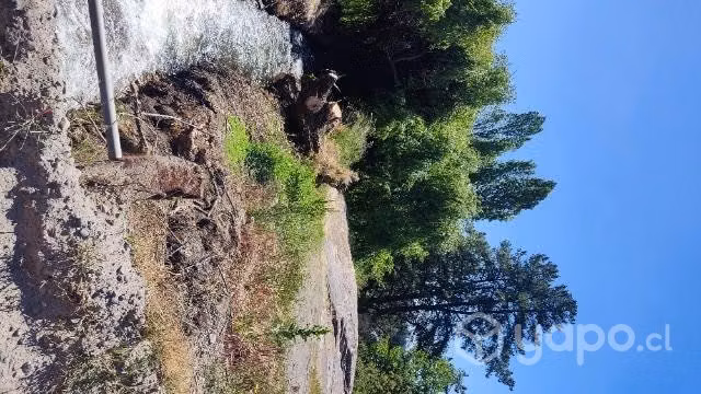 Terreno Junta ríos Diguillin e Itata
