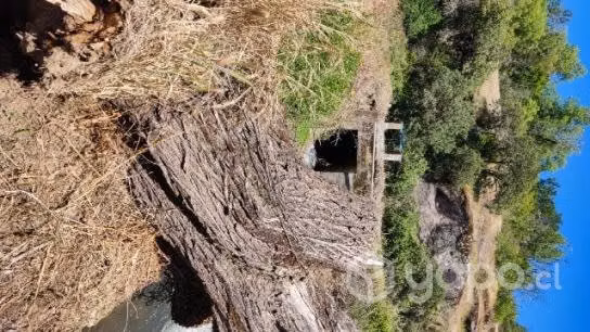 Terreno Junta ríos Diguillin e Itata