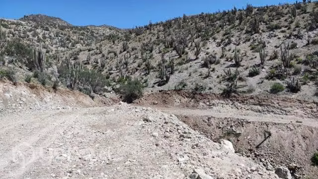 Terreno sector puclaro 5000mts2