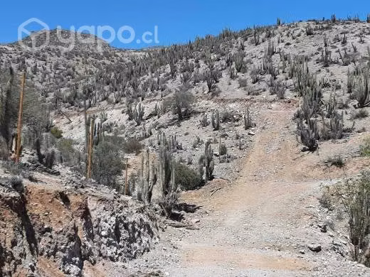 Terreno sector puclaro 5000mts2