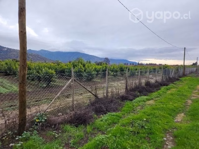 Parcela 5000 metros con 300 árboles frutales