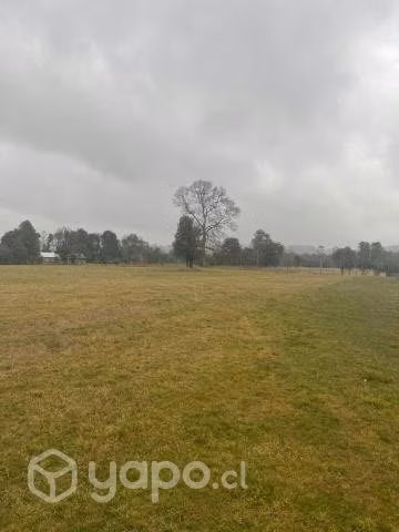 Terreno Cuinco alto