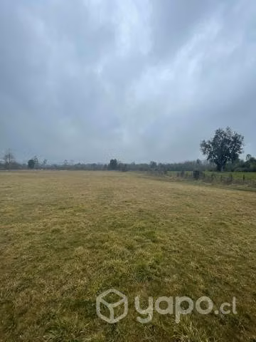 Terreno Cuinco alto