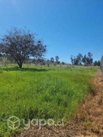 Sitio en venta - Imagen 2