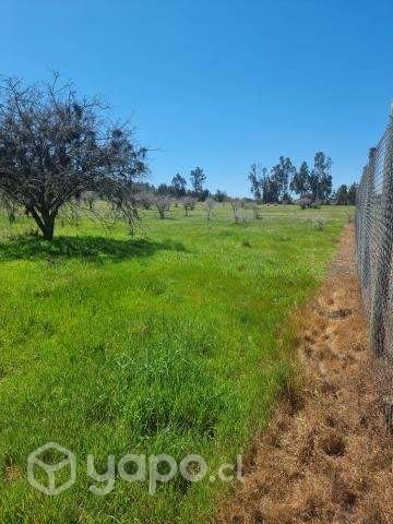 Sitio en venta - Imagen 3