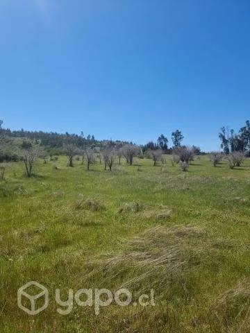 Sitio en venta